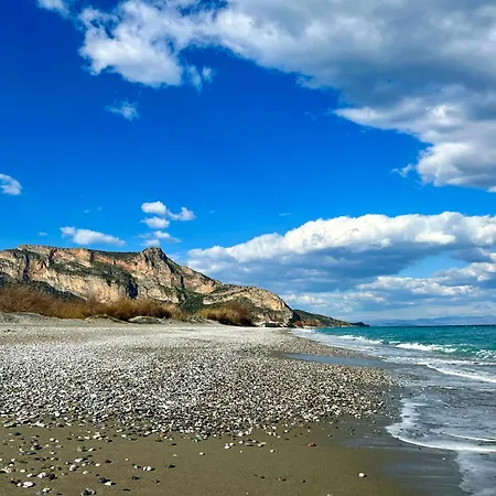 Cosineshouse Leonídion