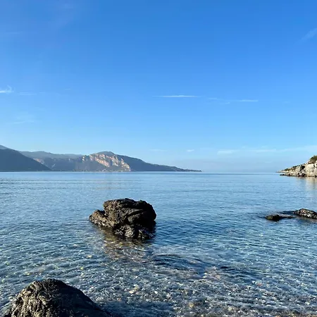 Cosineshouse * Leonídion