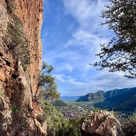 Cosineshouse 펜션 *