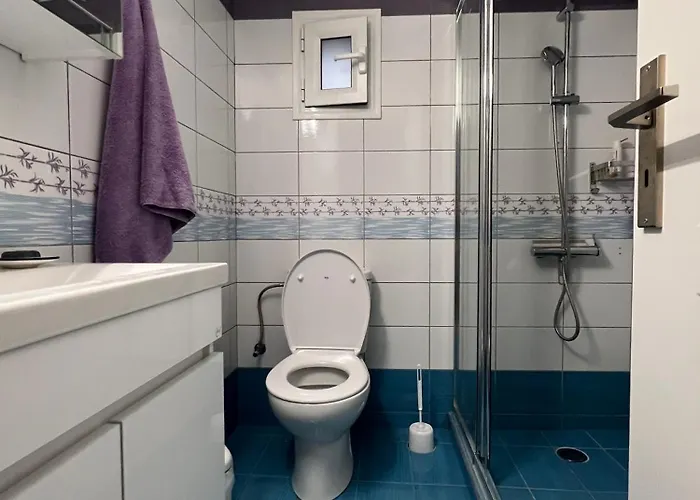 Cosineshouse Leonídion