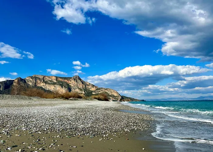 Cosineshouse Leonídion