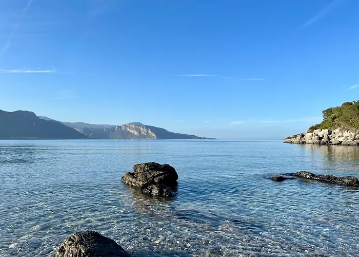 Cosineshouse * Leonídion